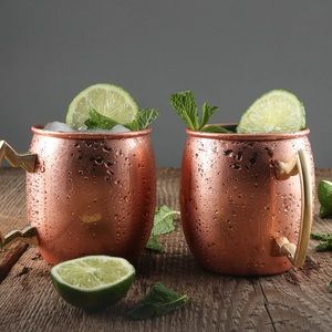 20 oz Cambridge Moscow Mules Mug